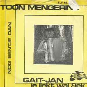Toon Mengerink - Gait-Jan (Ie Liekt Wal Gek) FLAC