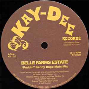 Belle Farms Estate - Puddin (Kenny Dope ReMixes) FLAC