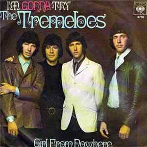 The Tremeloes - I'm Gonna Try / Girl From Nowhere FLAC