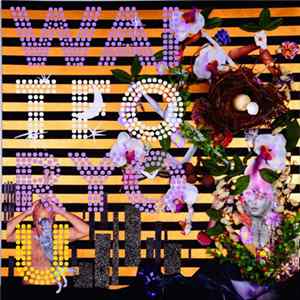 The Basics - Wait For You FLAC
