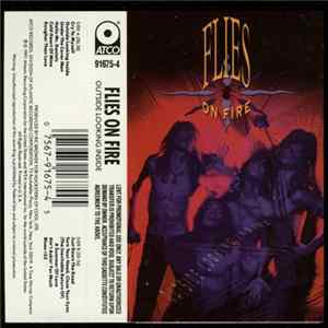 Flies On Fire - Outside Looking Inside FLAC