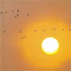 Various - Ballade Nocturne FLAC