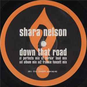 Shara Nelson - Down That Road FLAC
