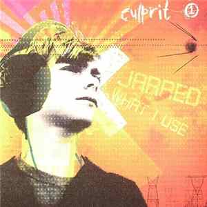 Culprit 1 - Jarred / What I Use FLAC