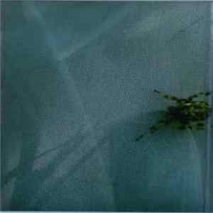 PN 4632402 / Nostalgie Eternelle - Virtual Reality FLAC