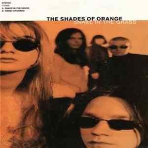The Shades Of Orange - Snake In The Grass FLAC