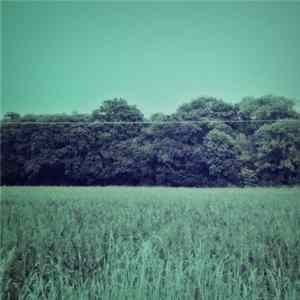 Various - [whitelabtapes] Edition 1 FLAC