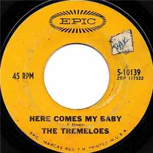 The Tremeloes - Here Comes My Baby FLAC