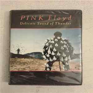 Pink Floyd - Delicate Sound Of Thunder FLAC