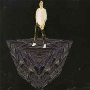 Synergetic Diversity - Gallery FLAC