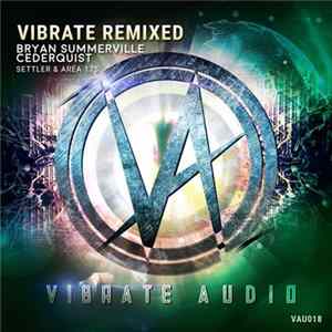 Various - Vibrate Remixed FLAC