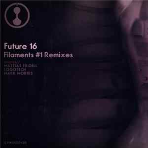 Future 16 - Filaments #1 Remixes FLAC