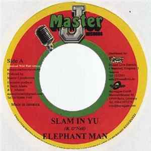 Elephant Man / Hit List - Slam In Yu / Roll Up FLAC