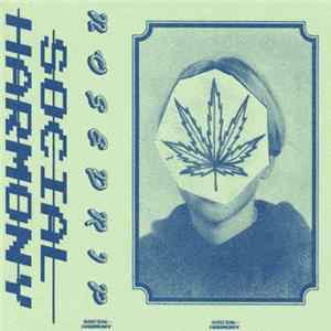 Nosedrip - C110 FLAC