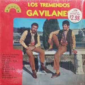 Los Tremendos Gavilanes - Que Tal Si Te Vas Conmigo FLAC