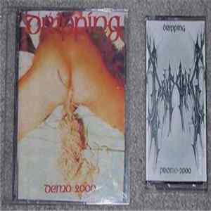 Dripping - Promo 2001 FLAC
