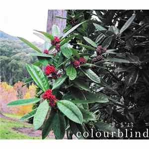 Colourblind - Demo 2017 FLAC