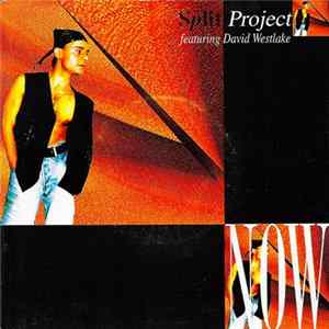 Split Project Featuring David Westlake - Now FLAC