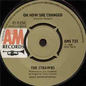 Strawbs - Oh How She Changed FLAC