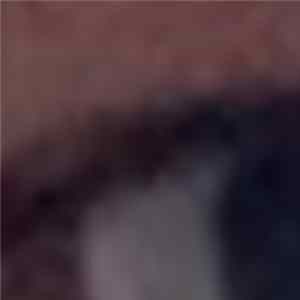 Half Eye - My Best Friend With Whom I Laughed FLAC