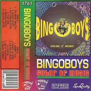 Bingoboys - Color Of Music FLAC