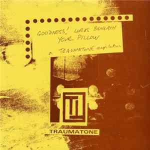 Spacehopper , Wizard Ho Ho, Bucknalls, Flinge - Goodness! Lurks Beneath Your Pillow FLAC