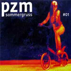 Various - Pzm Sommergruss #01 FLAC