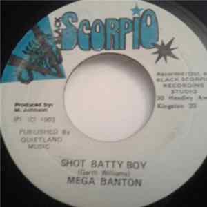 Mega Banton - Shot Batty Boy FLAC