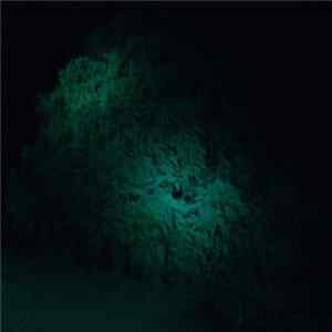 Coppice Halifax - Mastodon Dub FLAC