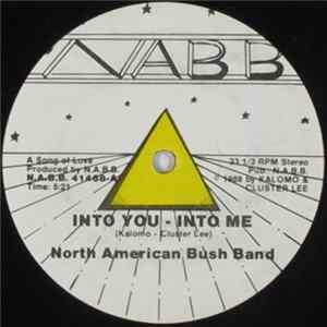North American Bush Band - Into You - Into Me / N.A.B.B. FLAC