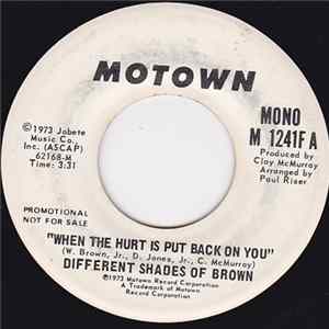 Different Shades Of Brown - When The Hurt Is Put Back On You FLAC