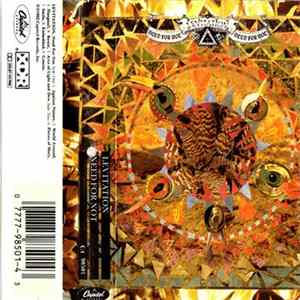 Levitation - Need For Not FLAC