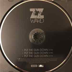 ZZ Ward - Put The Gun Down FLAC