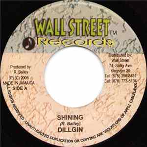Dillgin - Shining FLAC