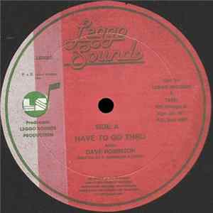 Dave Robinson - Have To Go Thru FLAC