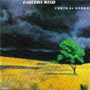 Chris de Burgh - Eastern Wind FLAC
