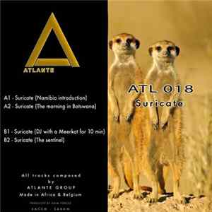 Atlante Group - The Suricate FLAC