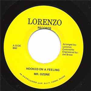 Mr. Ozone - Hooked On A Feeling / I Think We're Alone Now FLAC