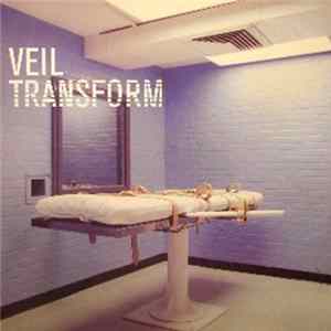 Veil - Transform FLAC