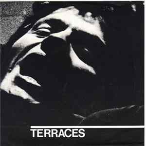 Terraces - A Place Like This / Pictorial FLAC