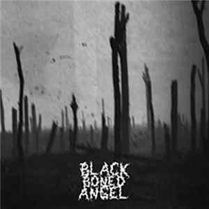 Black Boned Angel - Verdun FLAC