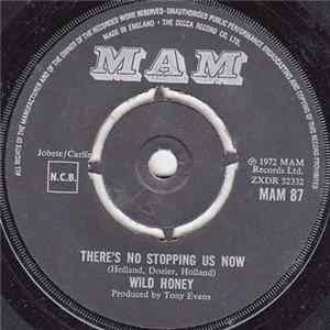 Wild Honey - There's No Stopping Us Now FLAC
